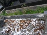image of grave number 679117